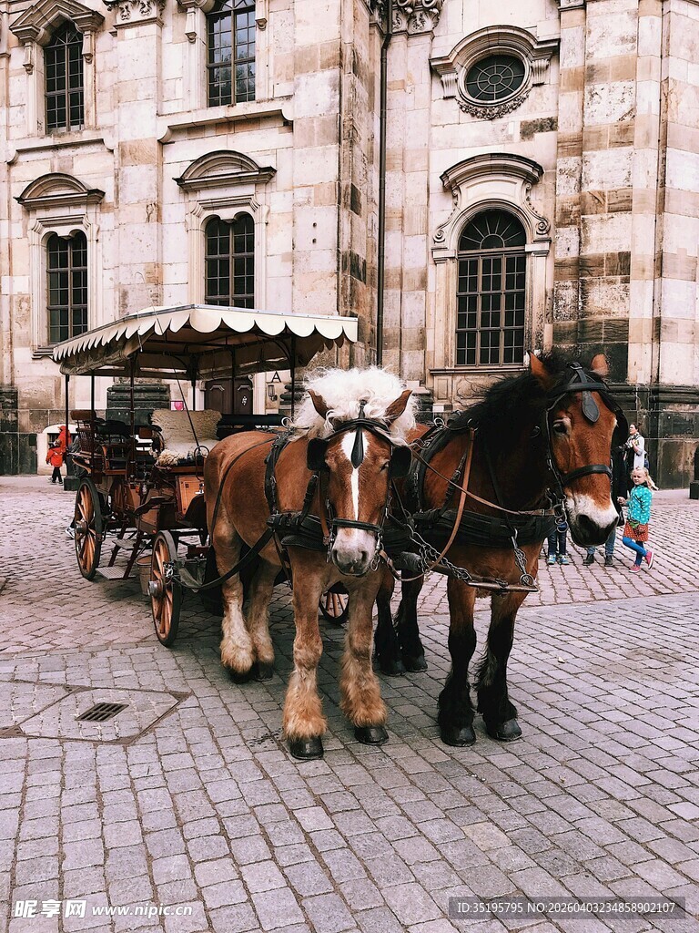 城市街头的复古马车