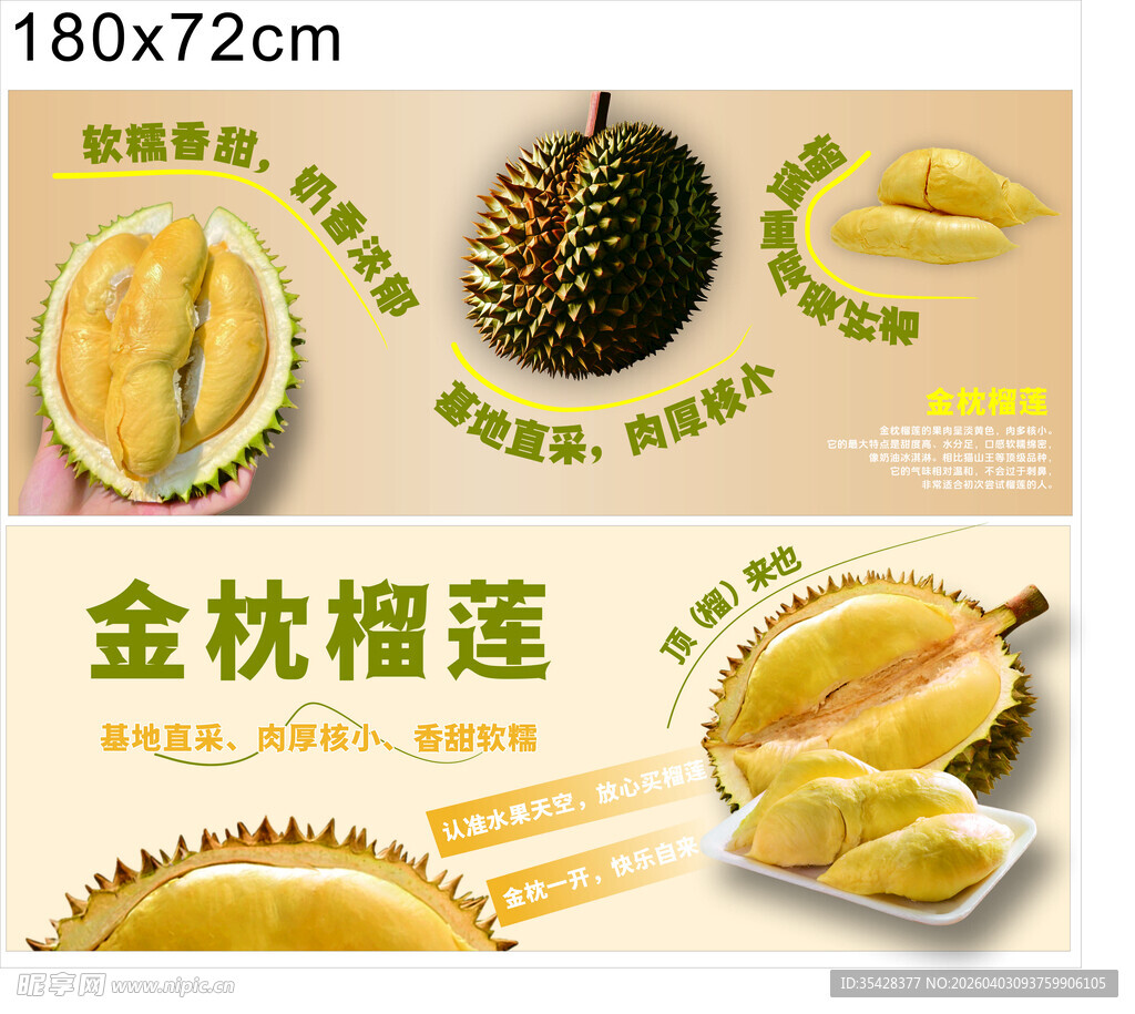 金枕榴莲展示 果肉饱满诱人