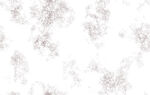 白色抽象花纹背景图