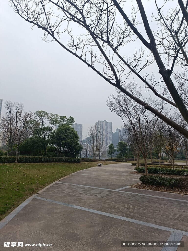城市公园中的空旷步道