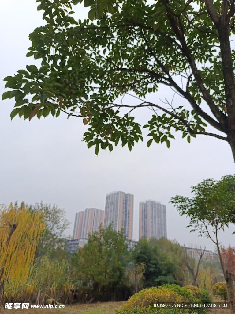 城市旁的秋日园林景致