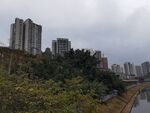 城市河畔高楼与绿植景观