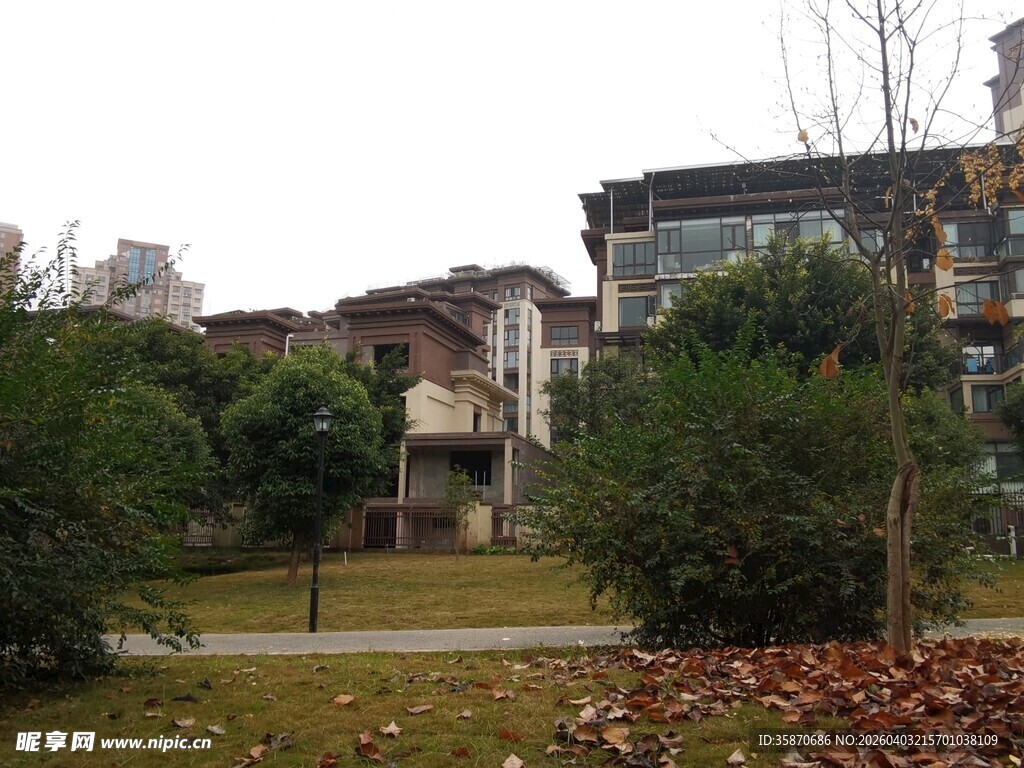 秋日庭院绿植与建筑景致
