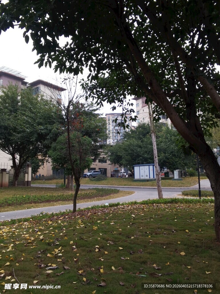 秋日公园静谧小道景象