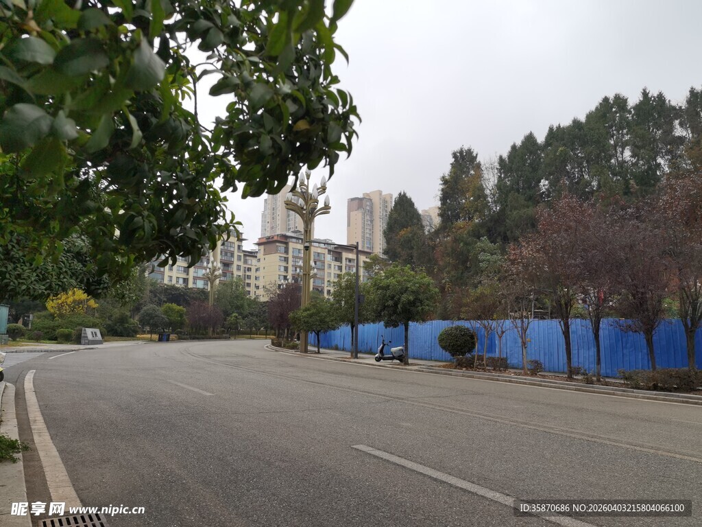 空旷道路旁的蓝围挡与树木