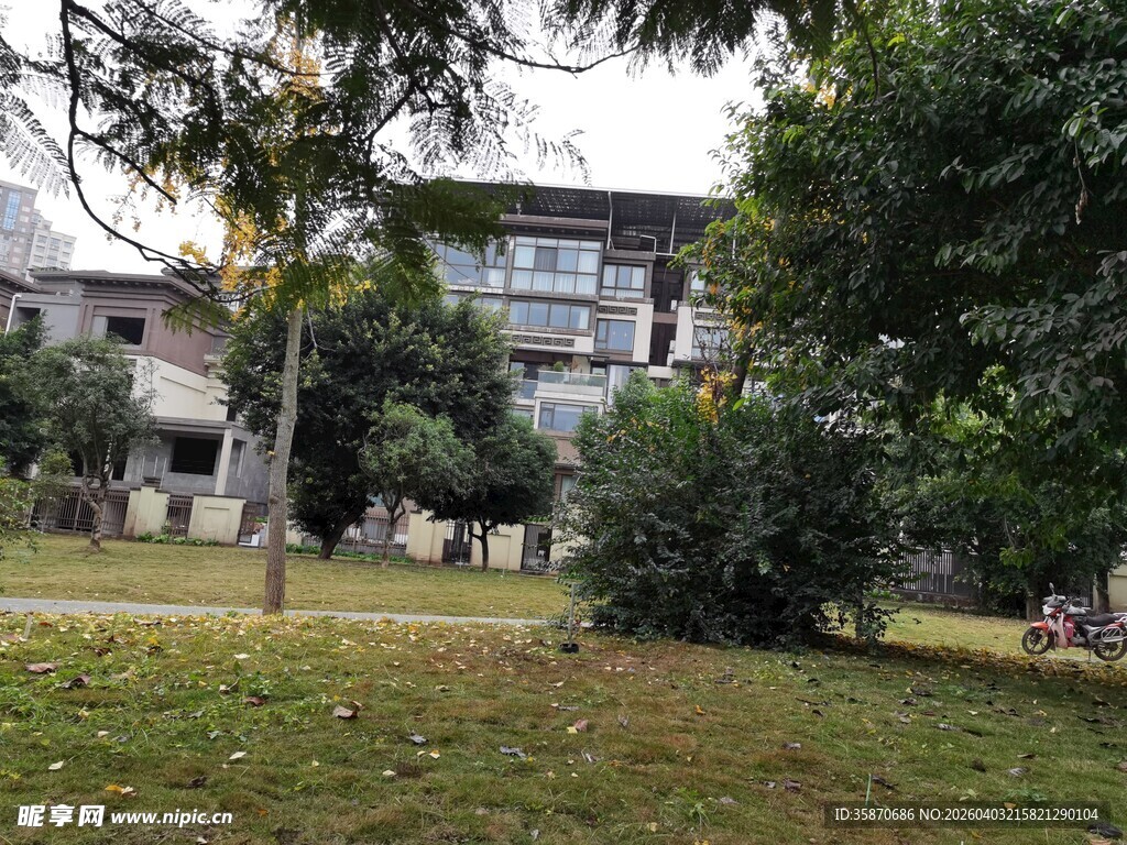 绿树环绕的现代建筑