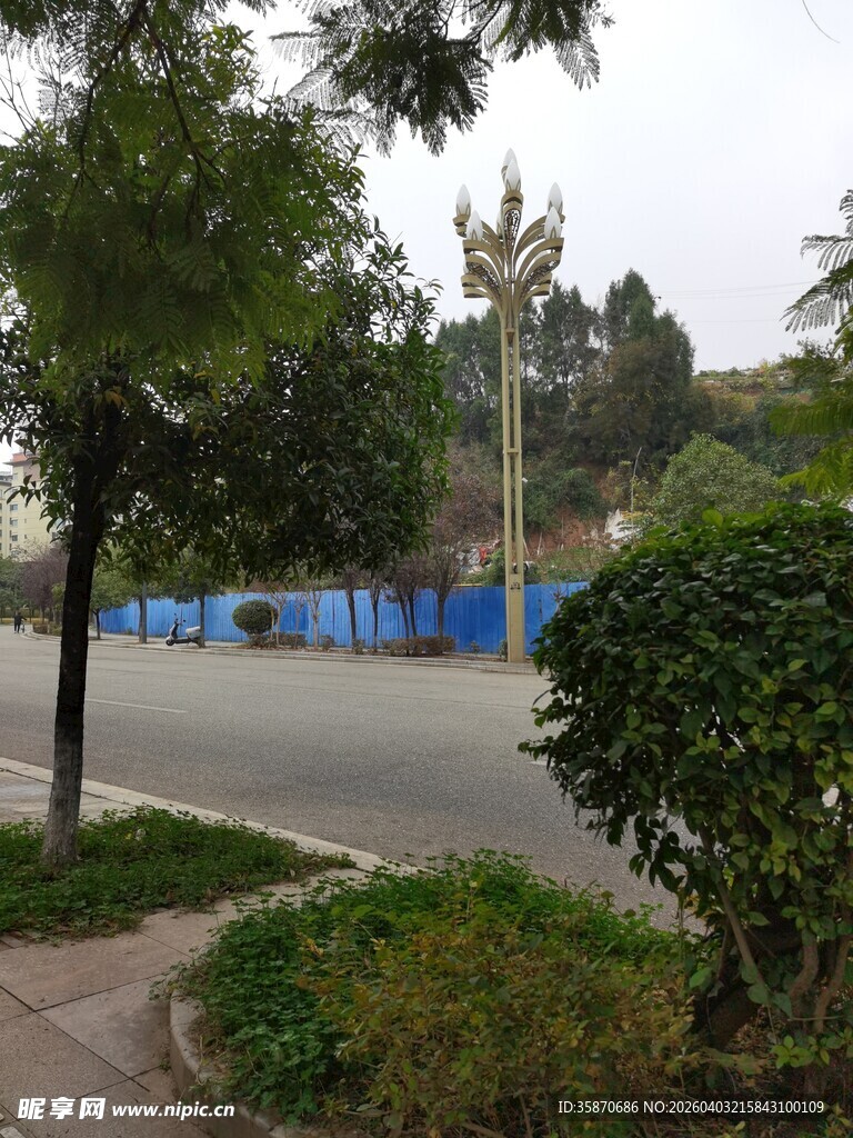 城市街边绿植景观