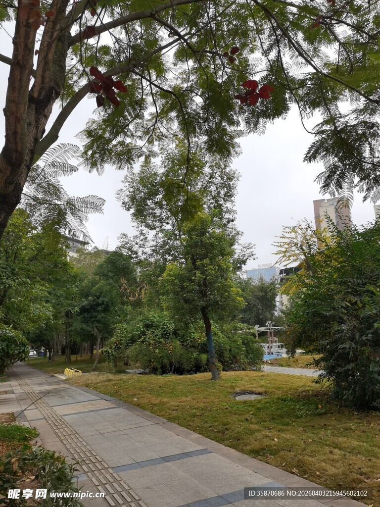 林间幽静步道绿意盎然