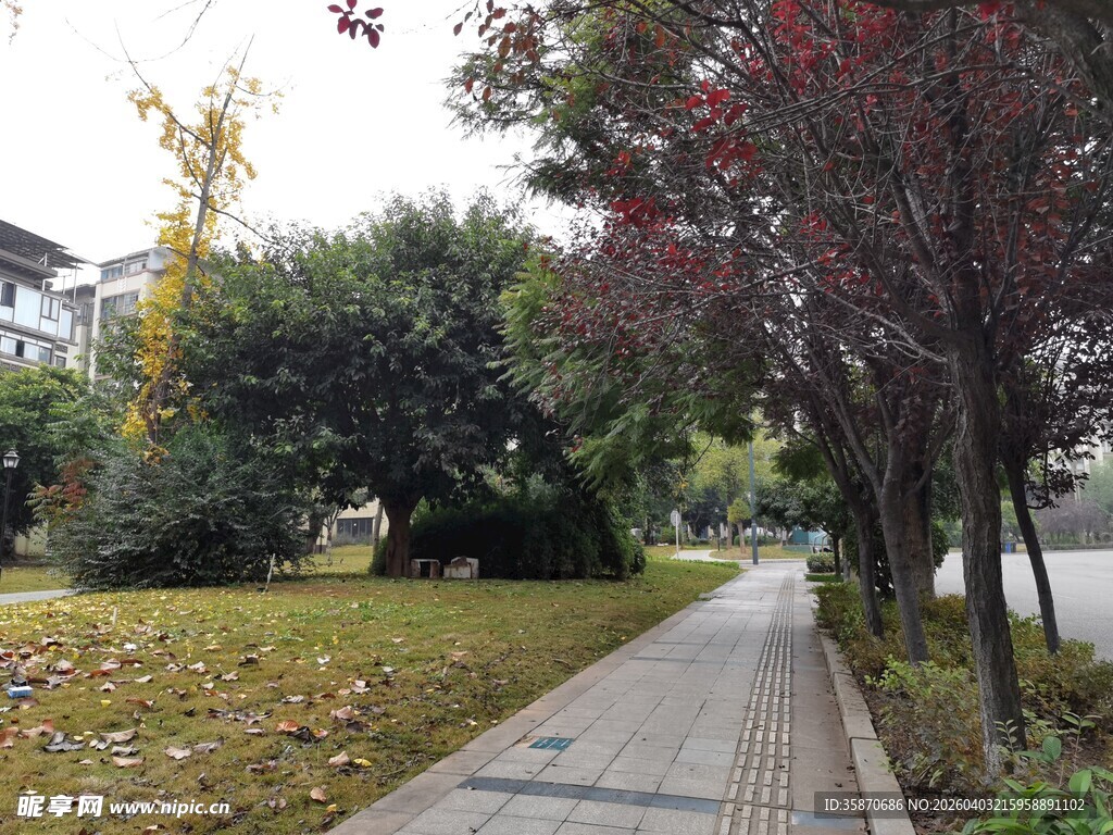 秋日公园幽静小路景观