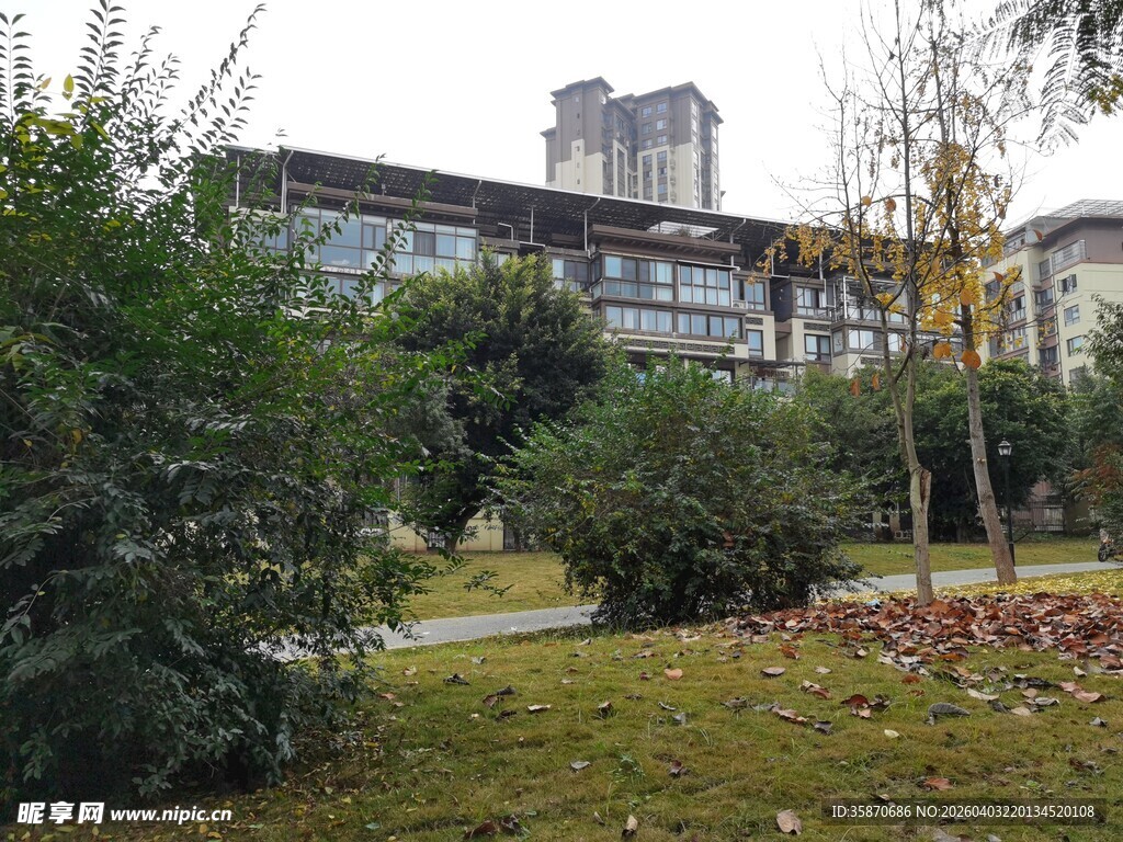 小区绿植环绕的建筑景观