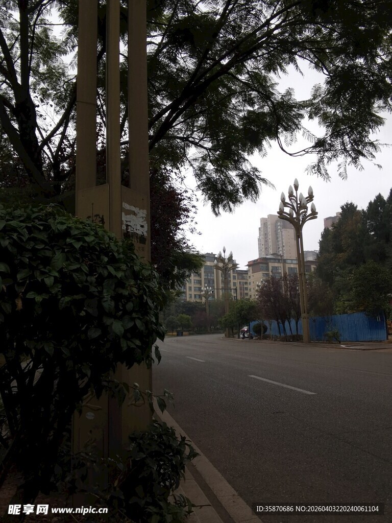 街道旁的绿树与开阔道路