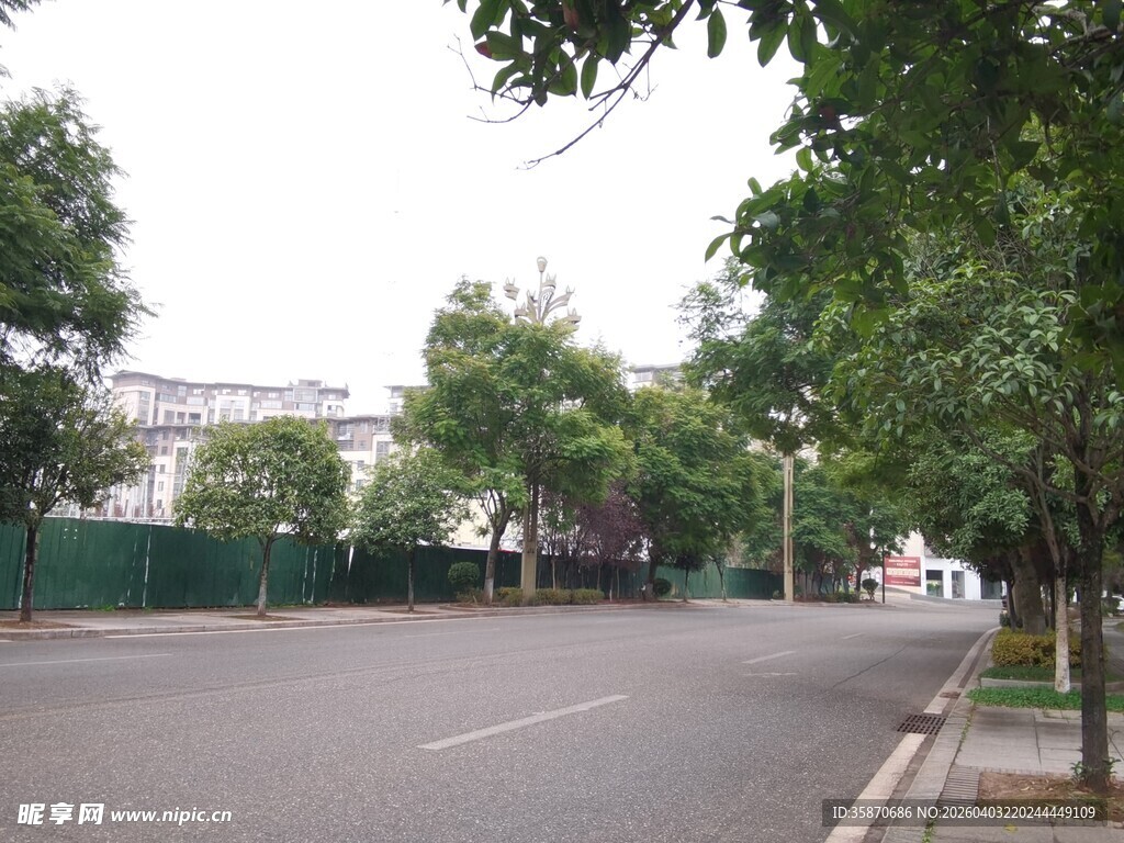 宁静的城市街道景观