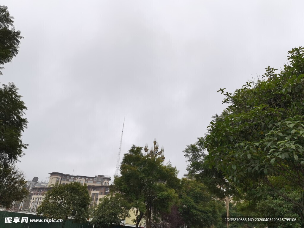 绿树环绕中的建筑尖顶