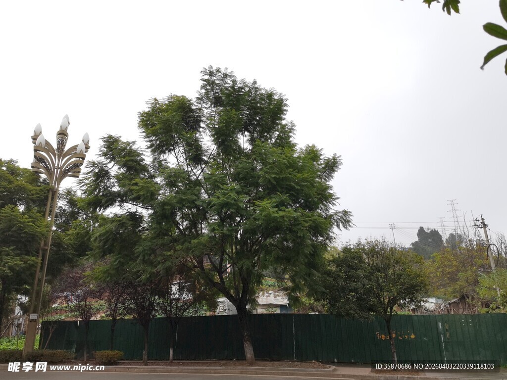 户外绿树与围栏景致