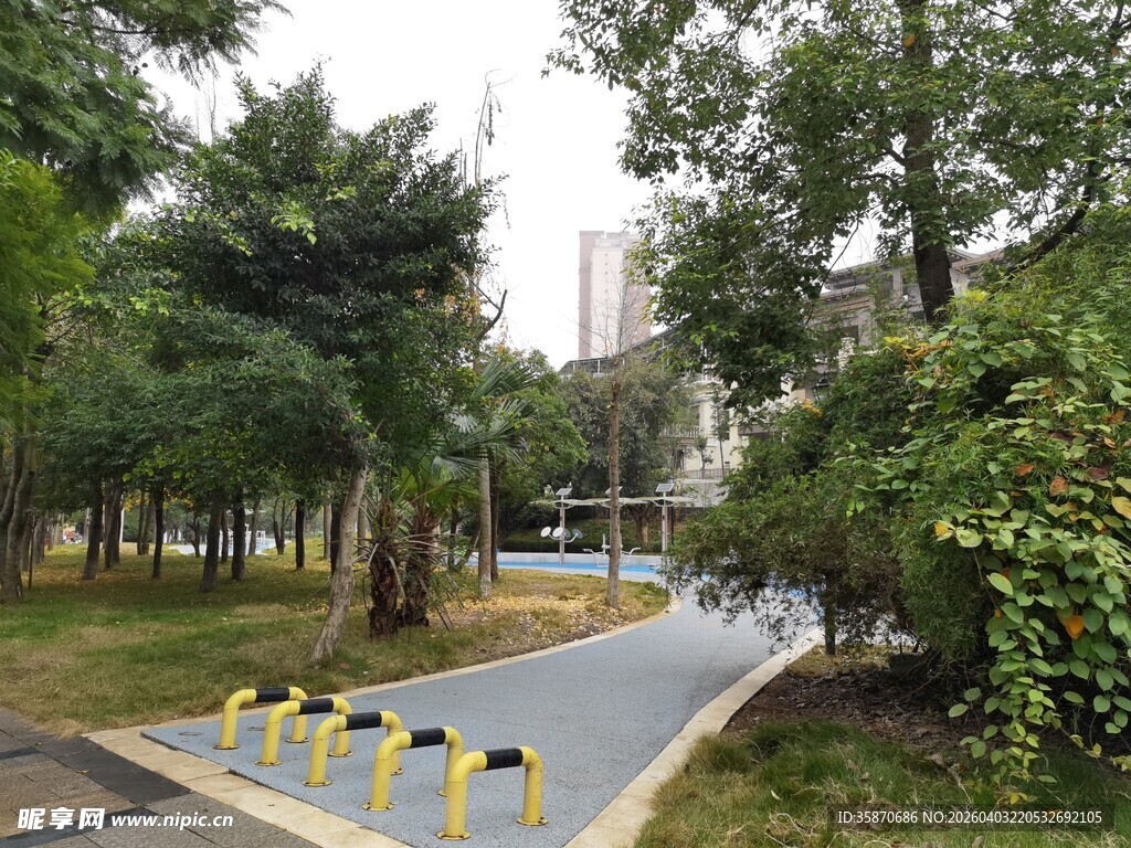 公园内的彩色步道与绿植