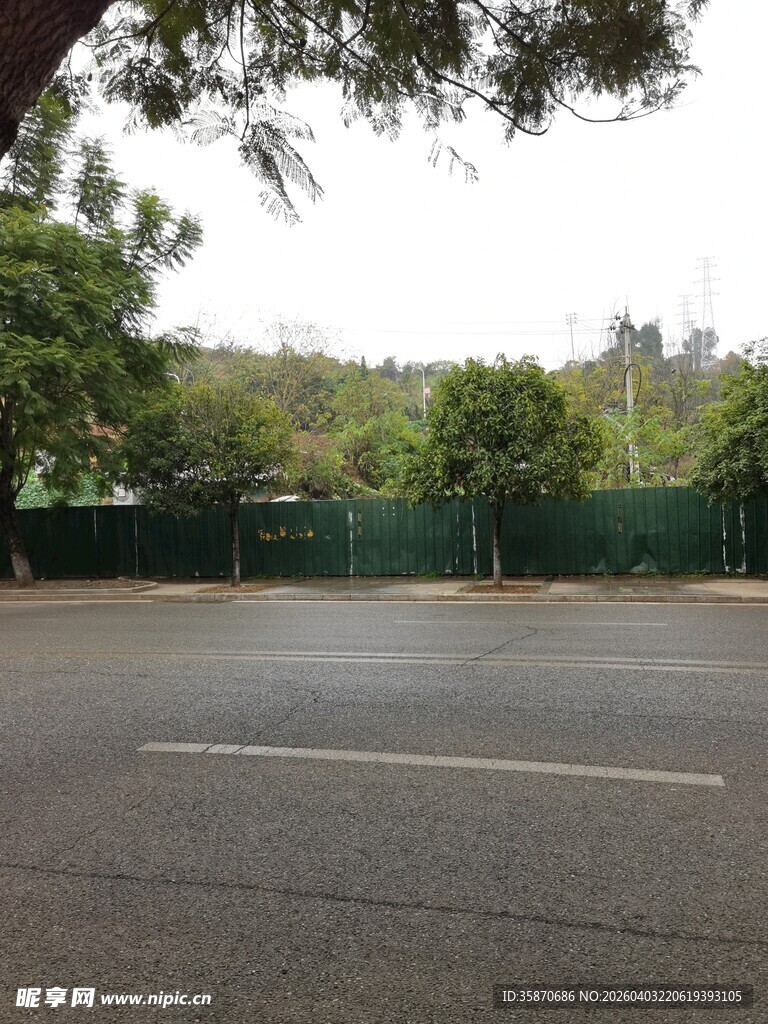 空旷户外道路与绿树场景