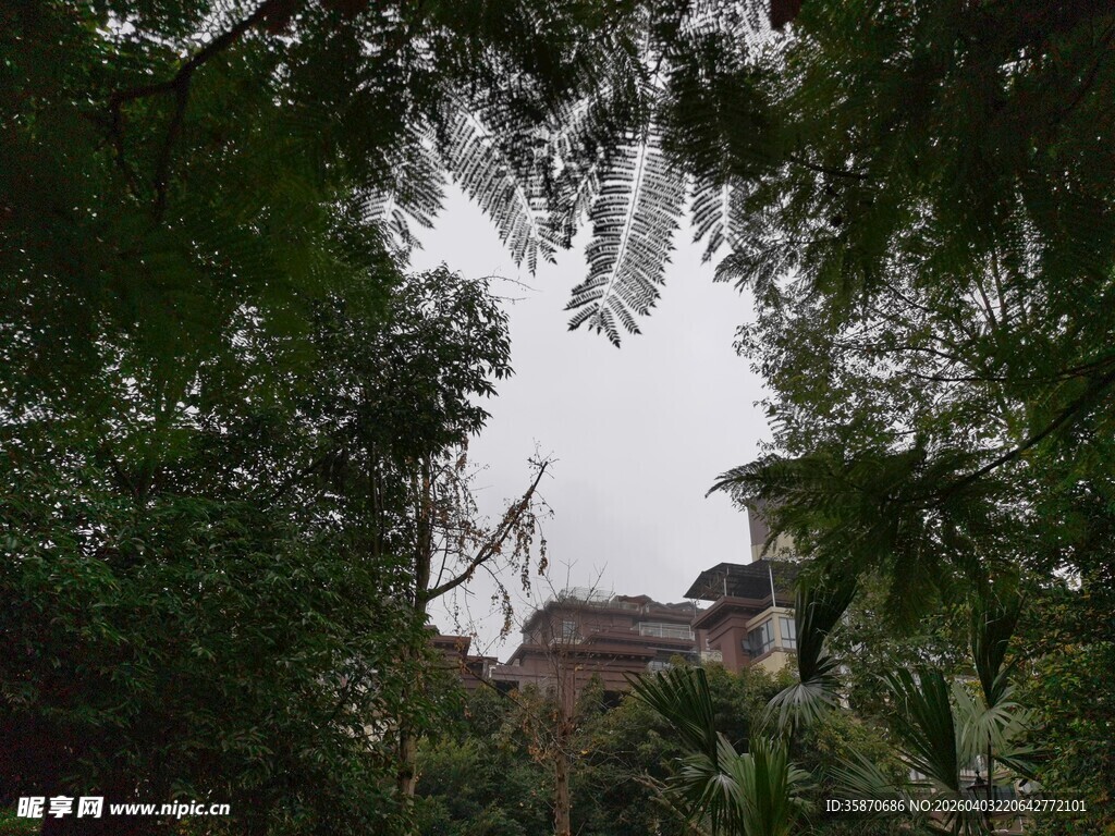 绿树环绕中的古朴建筑