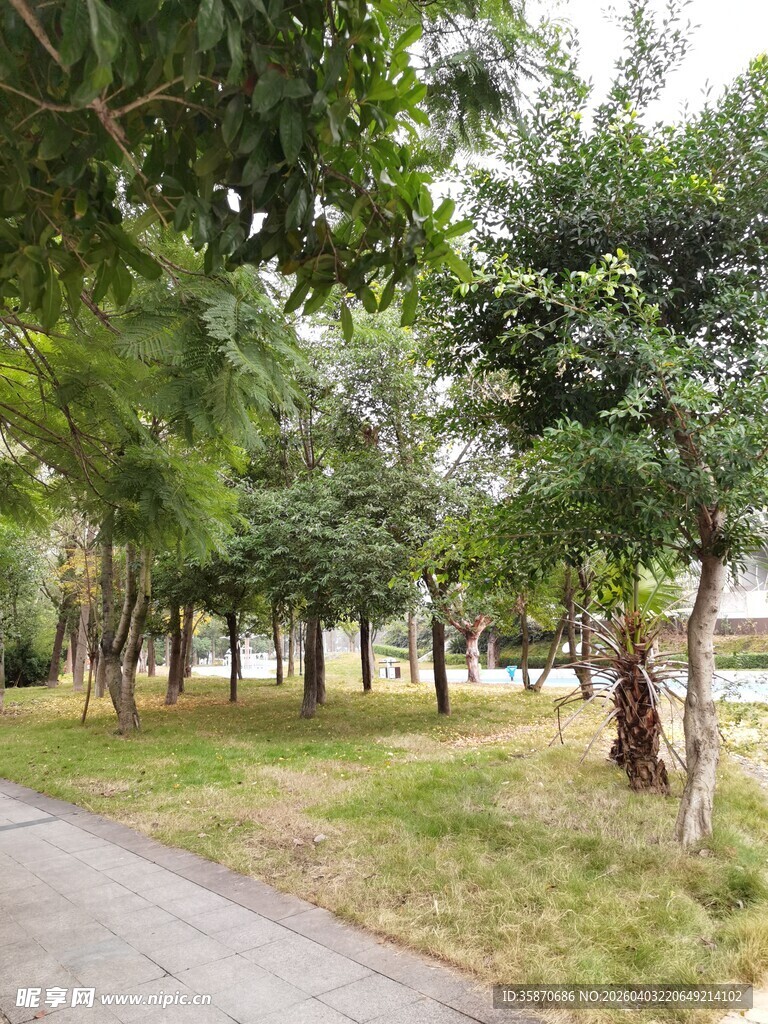 林间幽静小路