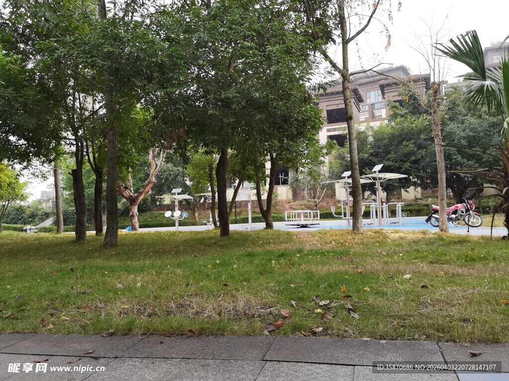 城市中的静谧公园绿地