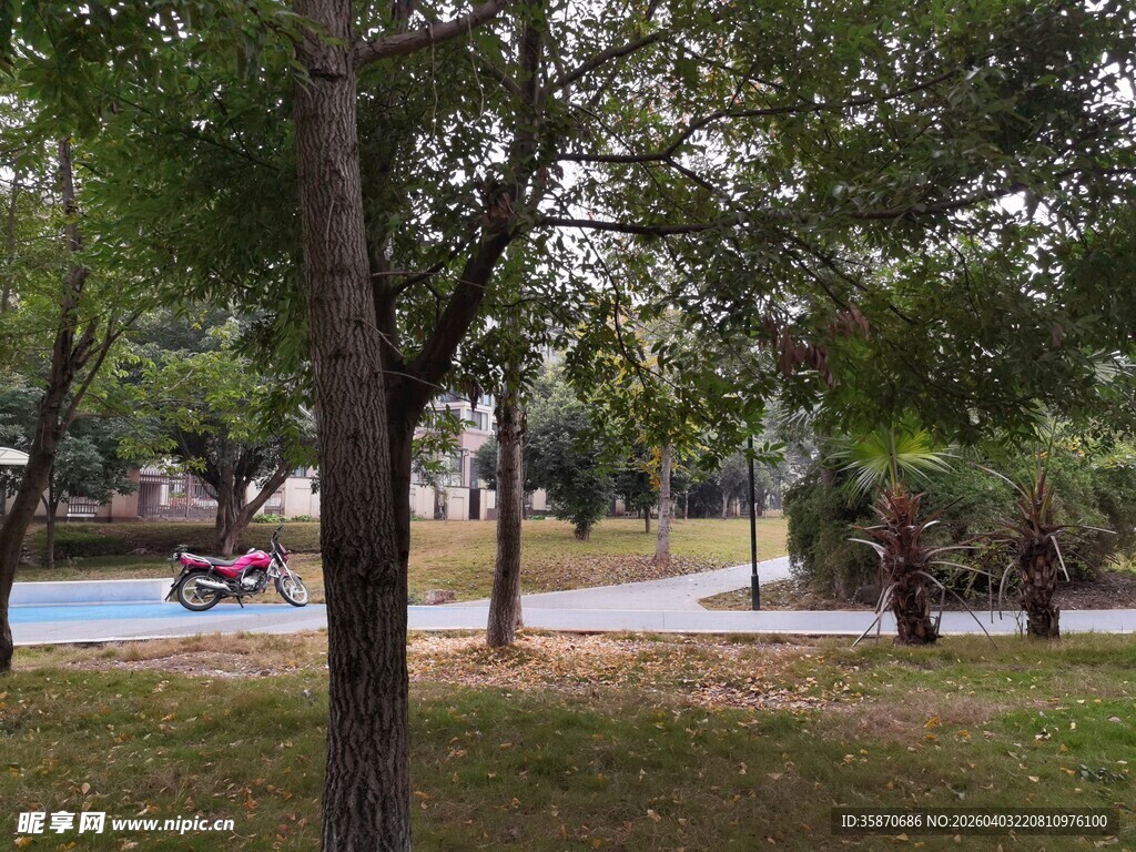 公园绿树环绕的休闲场景