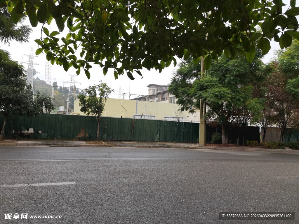 雨中街道旁的绿树围栏
