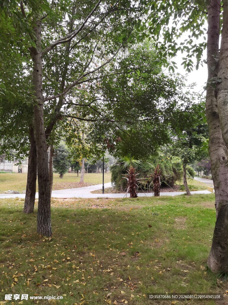 公园内树木环绕的休闲场景