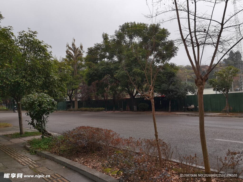 冬日城郊道路旁萧瑟景致