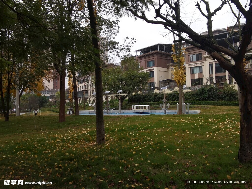 小区内的静谧绿化景观