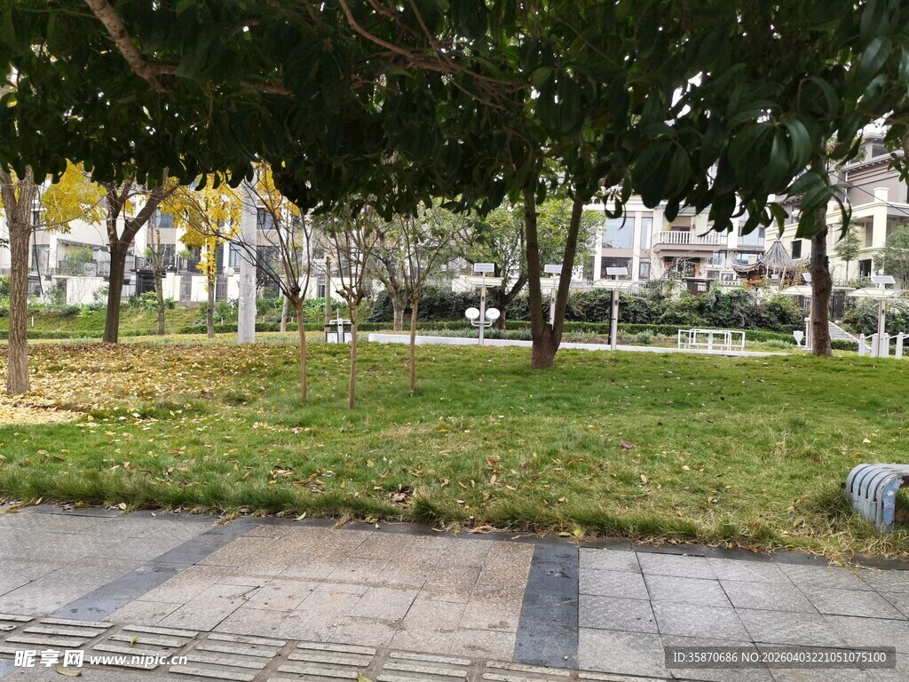城市中的静谧绿地