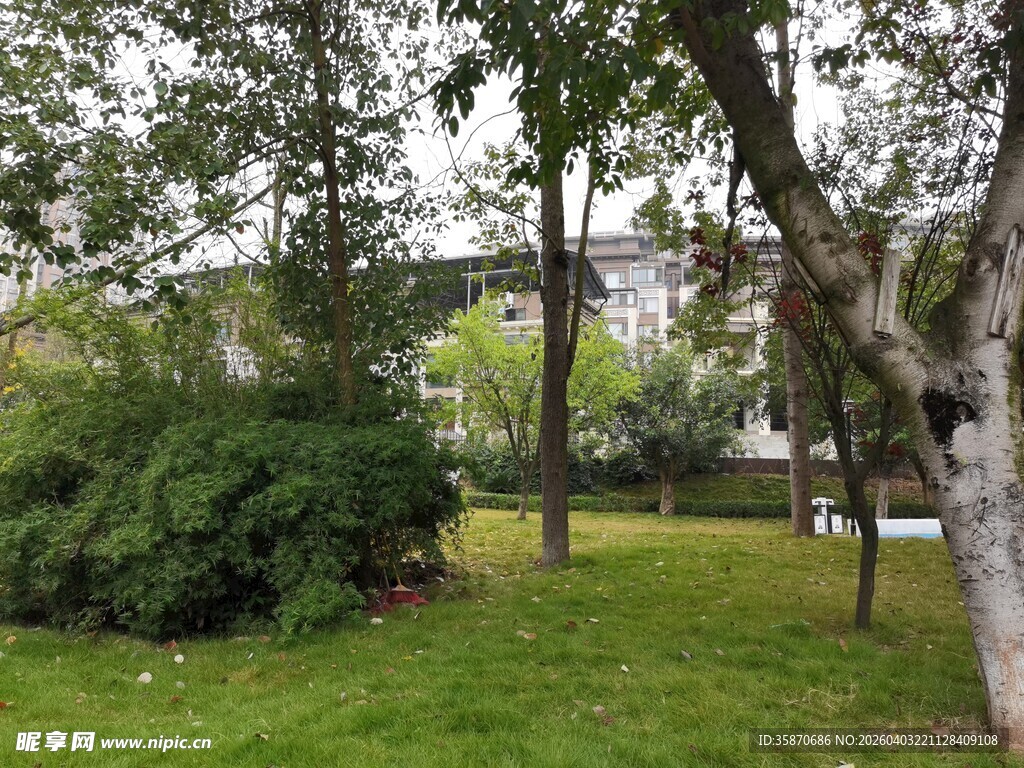 公园绿意盎然的树木景观