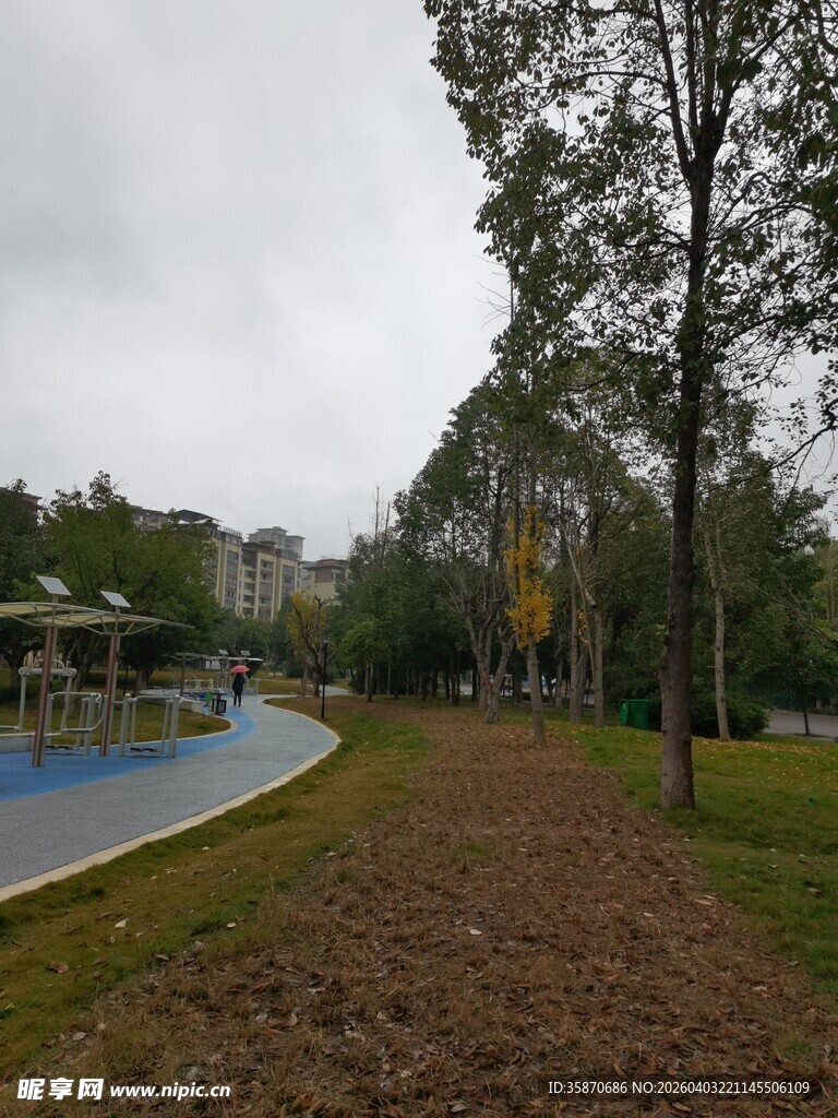 公园中的步道与树木景观