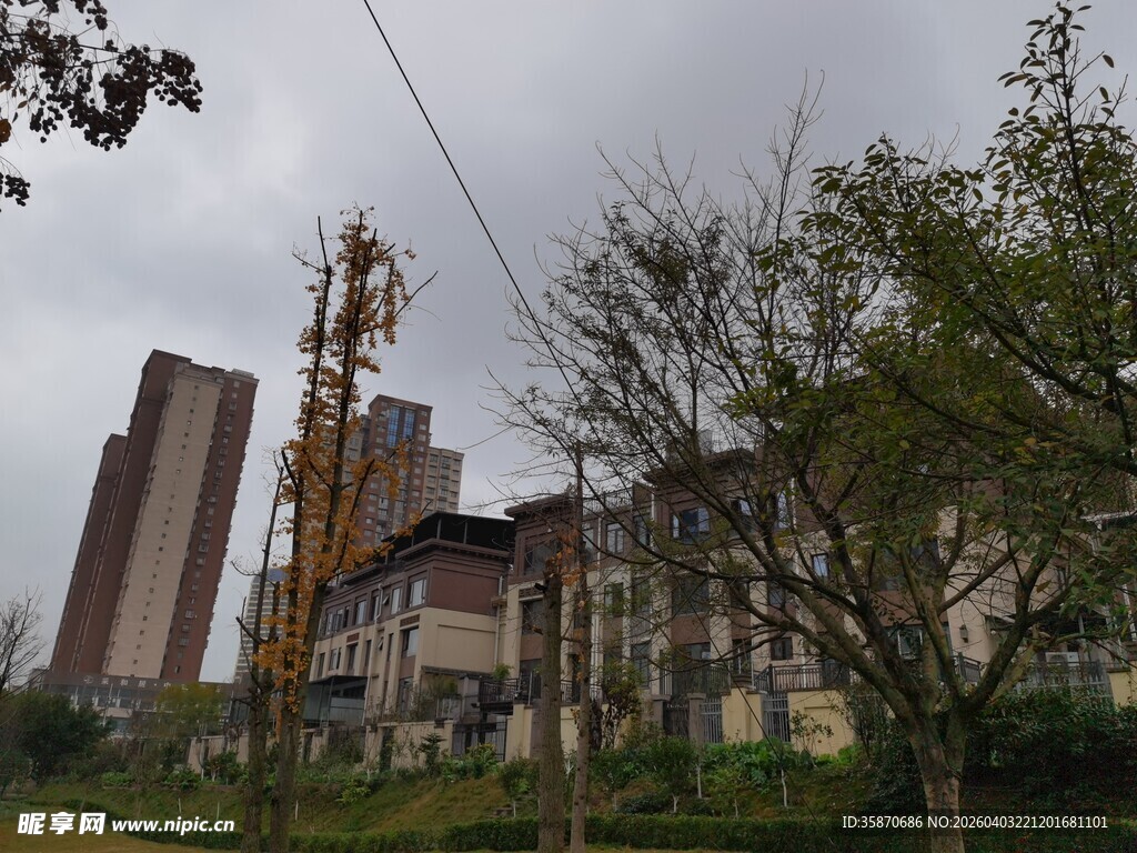 城市中高楼旁的绿植景观