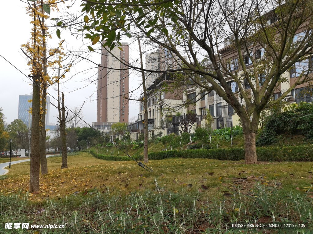 城市中的静谧绿化景观