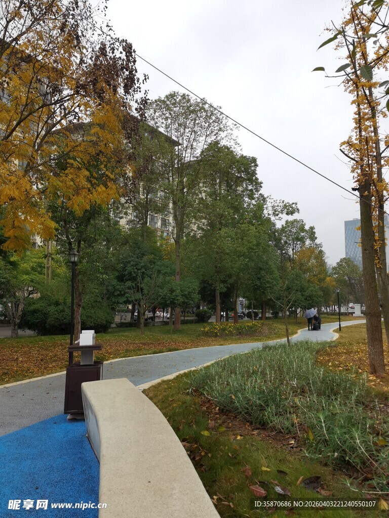 城市中静谧的林荫步道