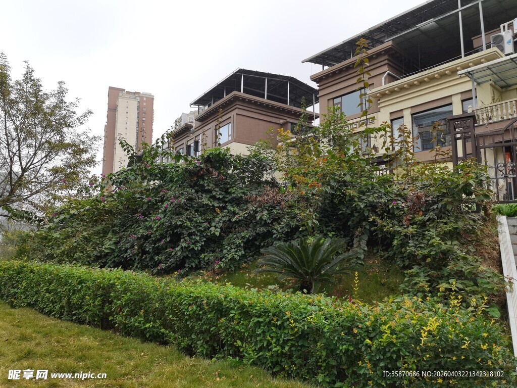 绿植环绕的精致住宅