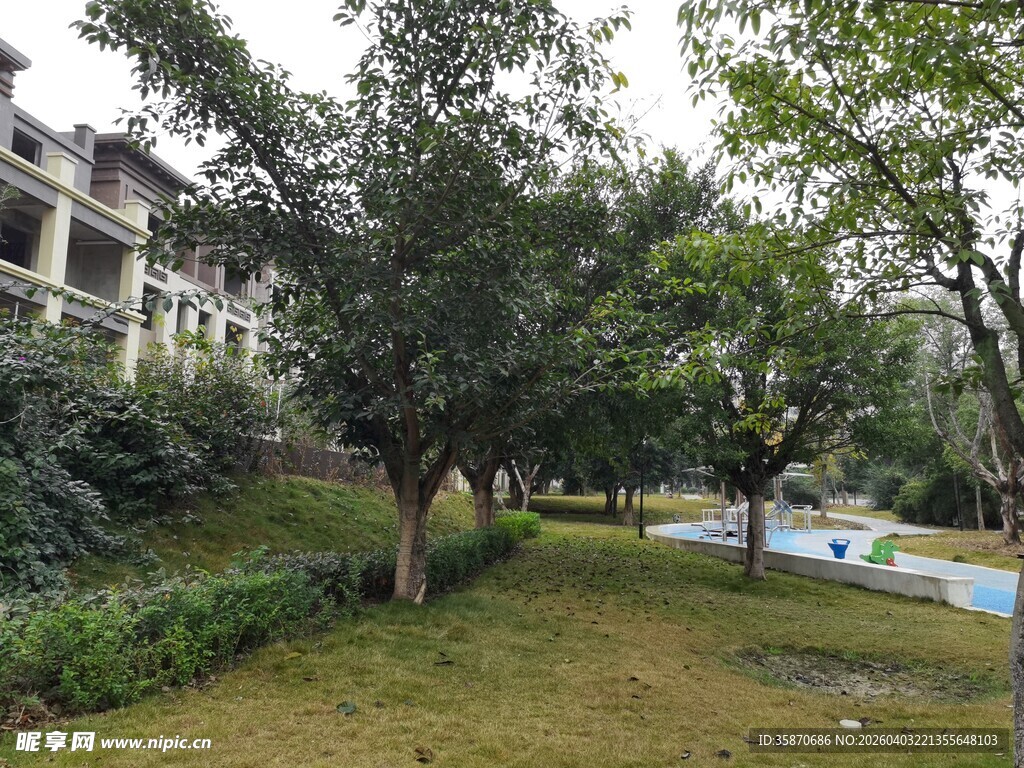 小区内绿意盎然的休闲区域