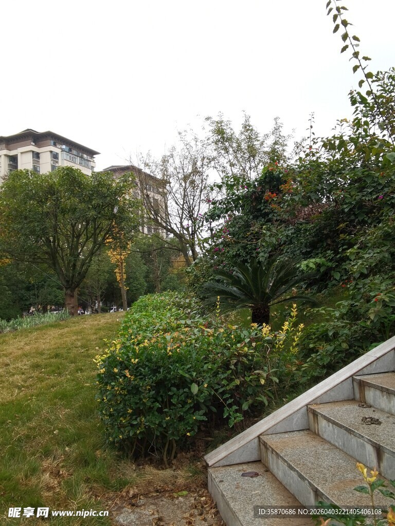 庭院绿植与石阶景致