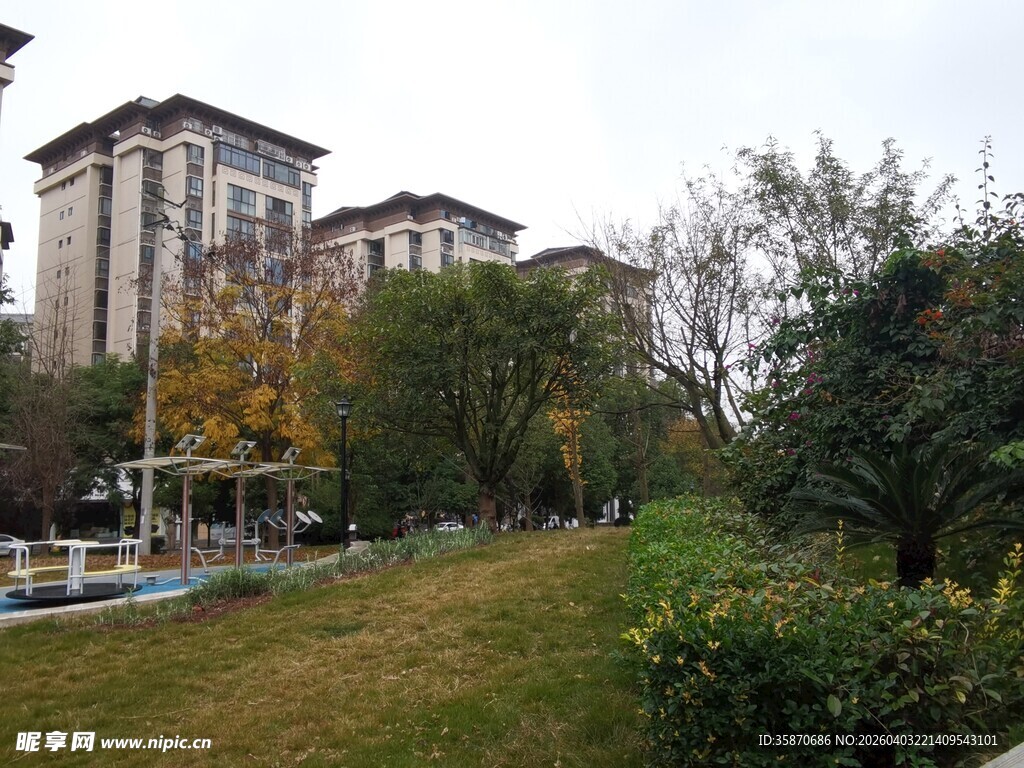 小区周边绿化景观