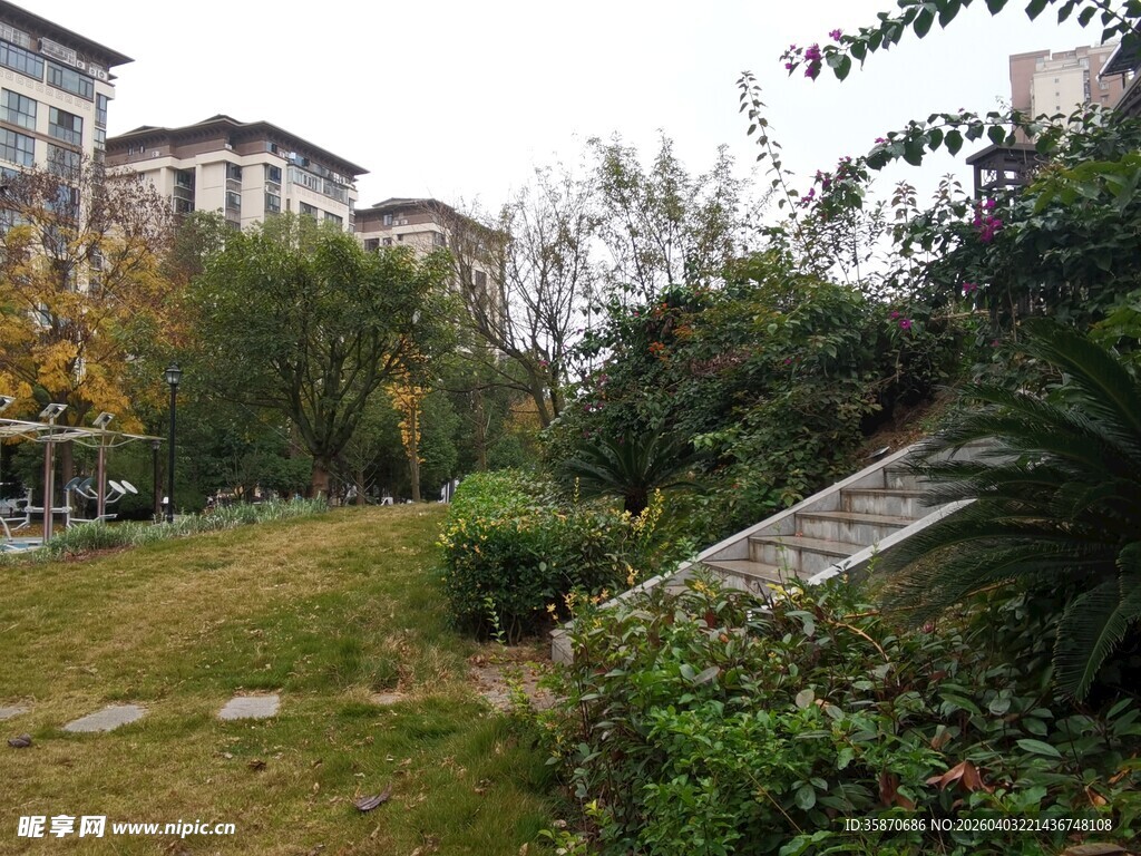 小区内的绿植景观