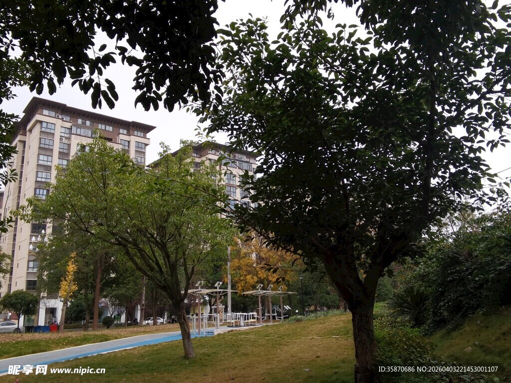 校园绿树环绕的建筑景观