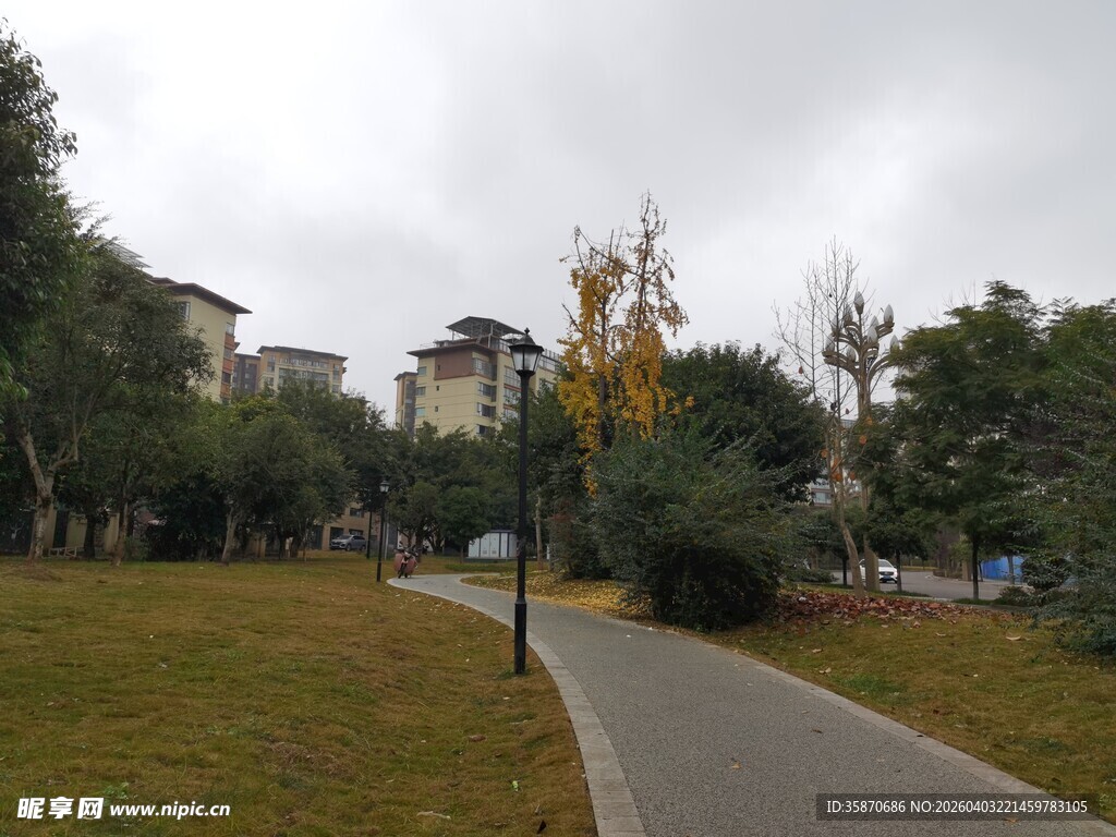 城市公园中的幽静小路