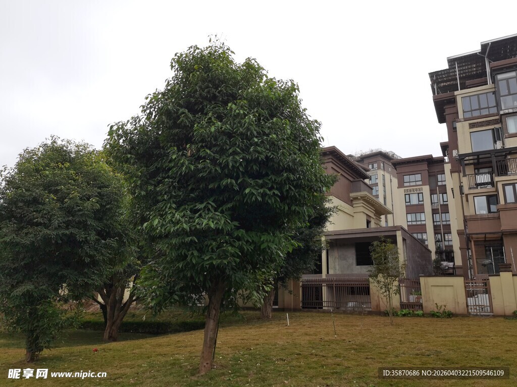 小区绿植环绕的住宅楼