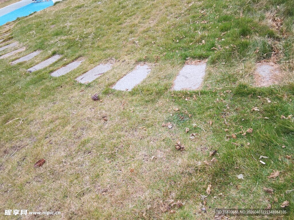 草地中的石板小径