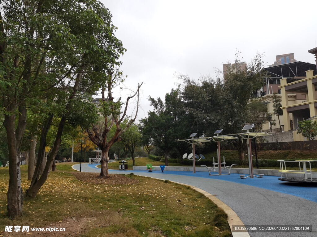 小区内的优美景观道路