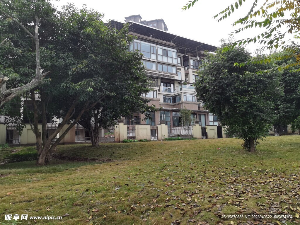 校园内绿树环绕的建筑