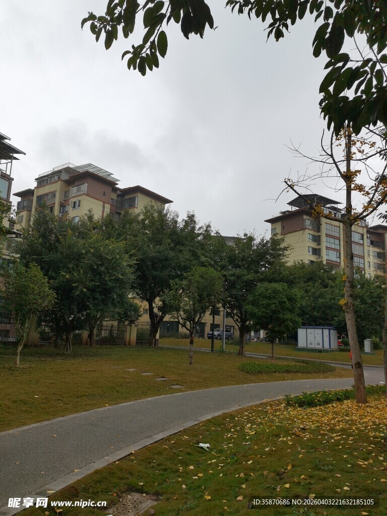 小区绿化景观道路场景
