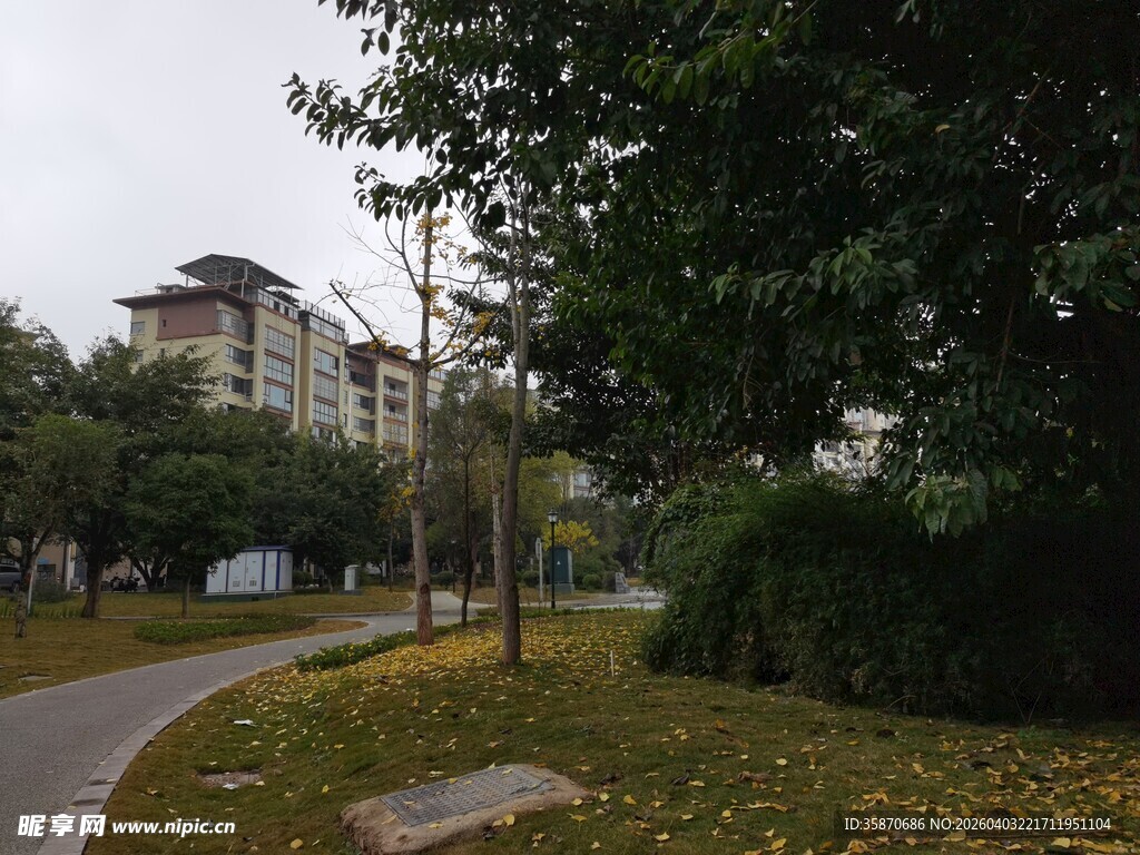 秋日小区林荫小道景致