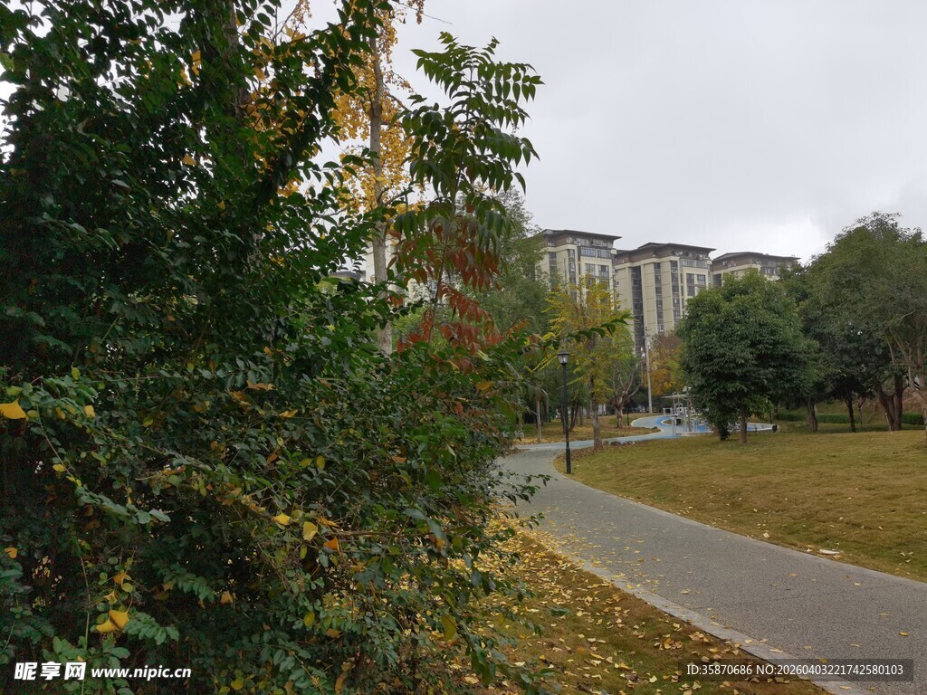 秋日公园中的幽静小路