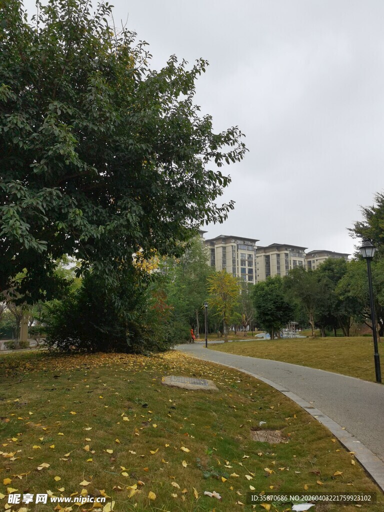 秋日公园小径风景