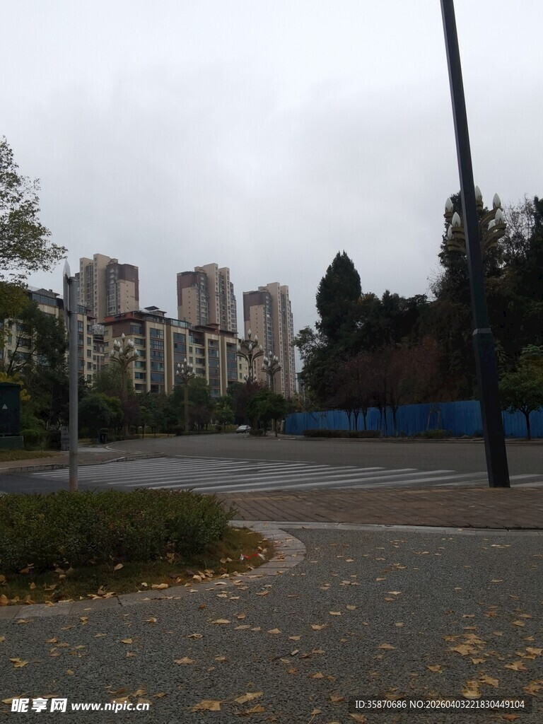 城市街道旁的多层建筑